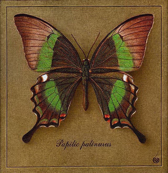 PAPILIO PALINURUS. 2000  