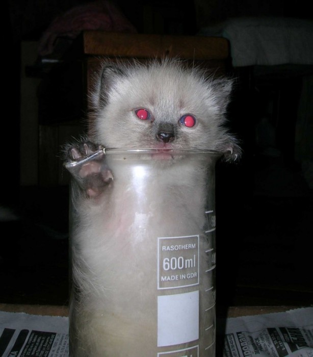  ""