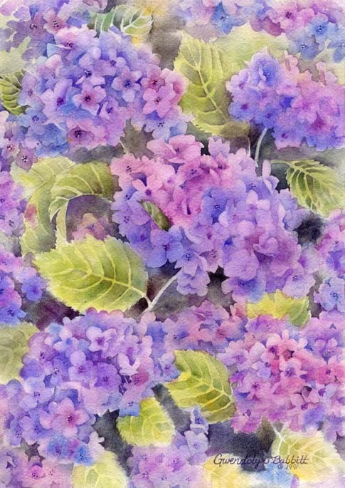 Hydrangea Background