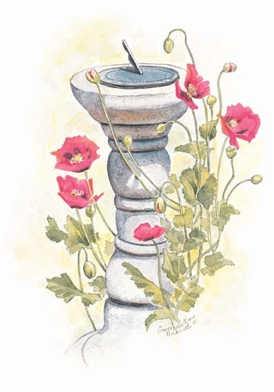 Sundial & Poppys