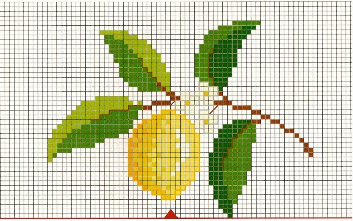 Ботаника. Лимон, схема для вышивания