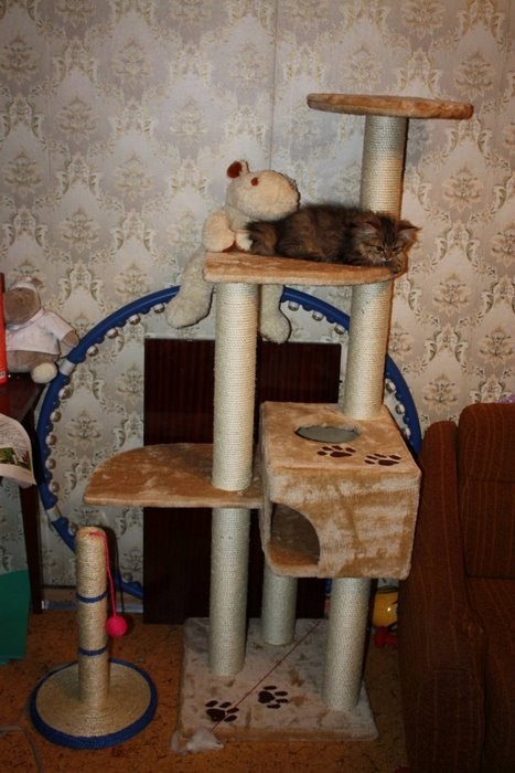 А мне купили домик