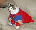     SuperGirl