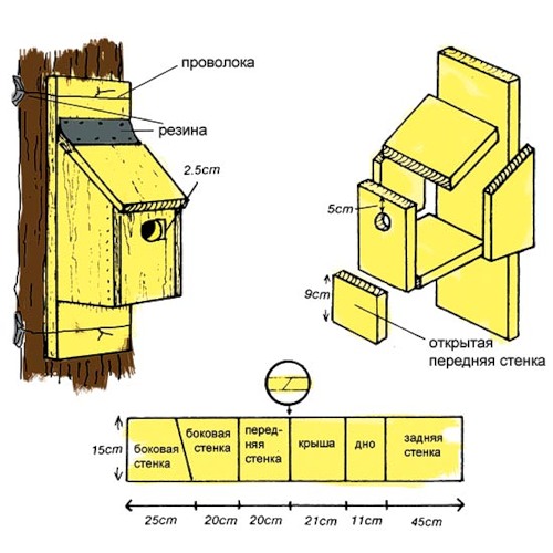 Виды и размеры скворечников фото