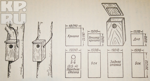 Технический рисунок скворечника 7 класс - 80 фото