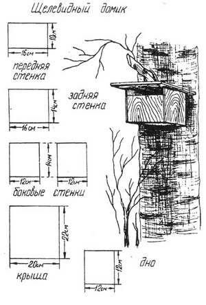 Технологический проект скворечник