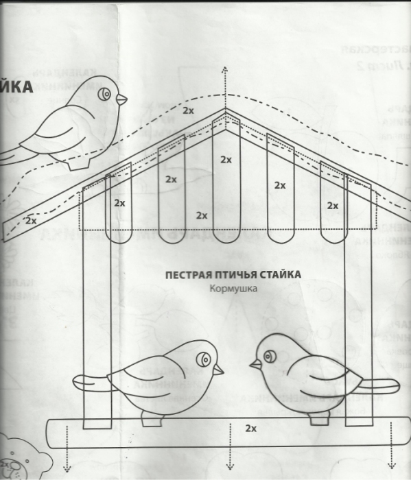 План пестрая лента