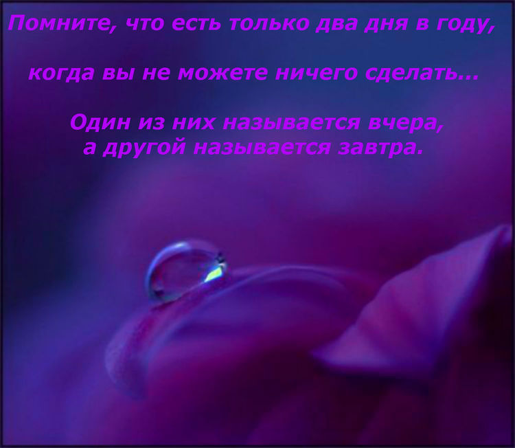 Что есть только в. Есть только два дня в году. Есть только два дня в году когда нельзя ничего сделать. Помните что есть только два дня в году. Есть два дня в году когда.