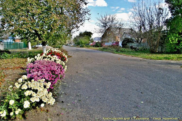 Ангел мун гулькевичи фото