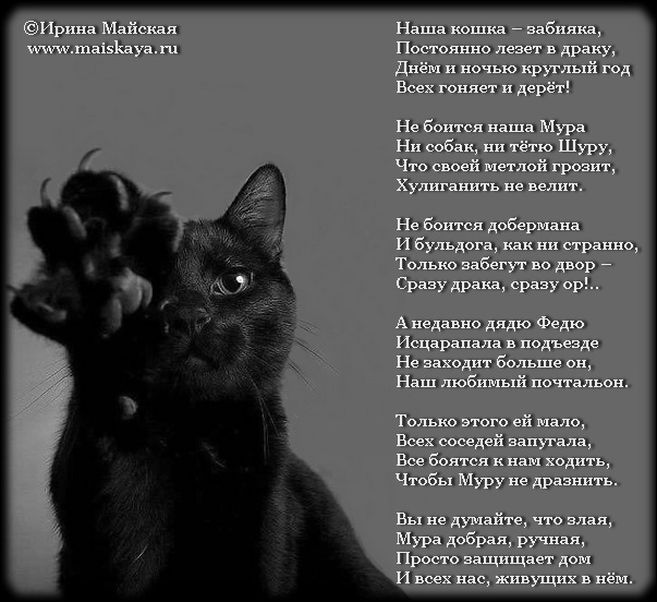 Стихи про котов