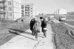     .    ......   (1950 - 1980).  ..