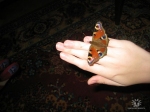     -      :  , ,  ,...... ⳿ 51 , , ..