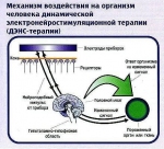  ,  ,  ,   ? C    !