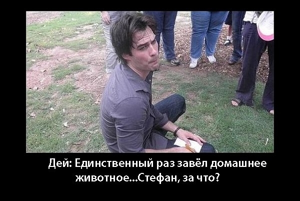 http://img0.liveinternet.ru/images/foto/c/9/apps/2/337/2337840_x_1dbfec41.jpg