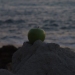 яблоко на фоне моря