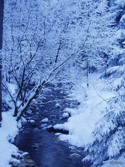 Закопане