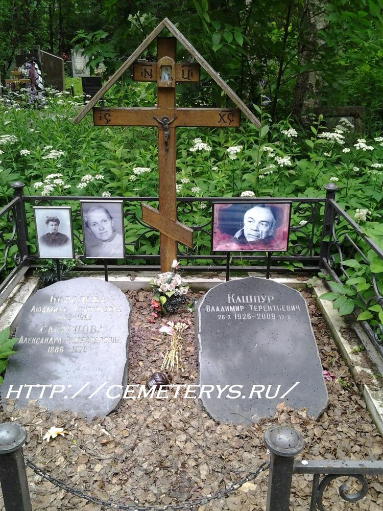 Владимир кашпур биография личная жизнь